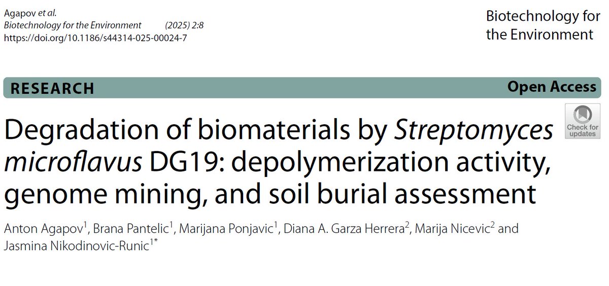 EcoPlastiC project (@_ecoplastic_) on Twitter photo 🔍 New study by <a href="/TUS_ie/">Technological University of the Shannon</a> & <a href="/IMGGE/">IMGGE</a>: Streptomyces microflavus DG19 harnesses enzymes to break down biomaterials, driving bio-upcycling forward! ♻️🧬
Dive into the microbial tools: 🔗 ecoplasticproject.eu/posts/degradat…
#BioUpcycling #Streptomyces #ScientificResearch 🔍 New study by <a href="/TUS_ie/">Technological University of the Shannon</a> & <a href="/IMGGE/">IMGGE</a>: Streptomyces microflavus DG19 harnesses enzymes to break down biomaterials, driving bio-upcycling forward! ♻️🧬
Dive into the microbial tools: 🔗 ecoplasticproject.eu/posts/degradat…
#BioUpcycling #Streptomyces #ScientificResearch