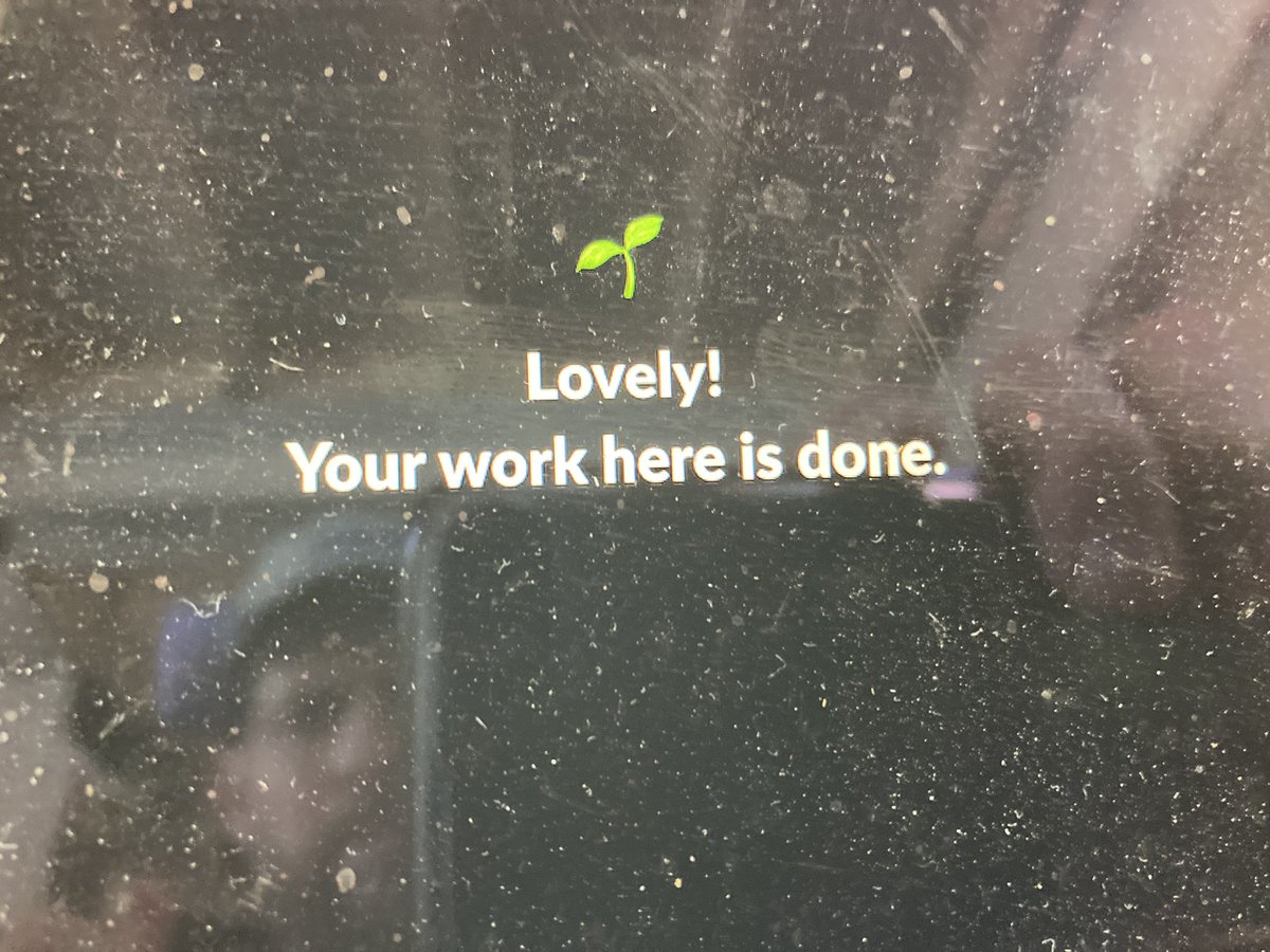 Ola Vea Dev Pirate 💀 (@olaholstvea) on Twitter photo 