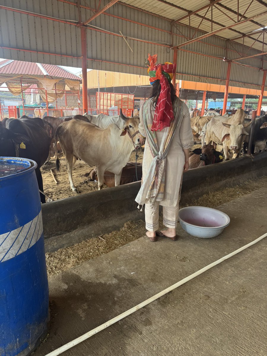 सेवा ही परम धर्म है।
अपने व्यस्त जीवन से कुछ समय निकालकर अपने पास के ngo या Animal shelter ज़रूर जाइए।