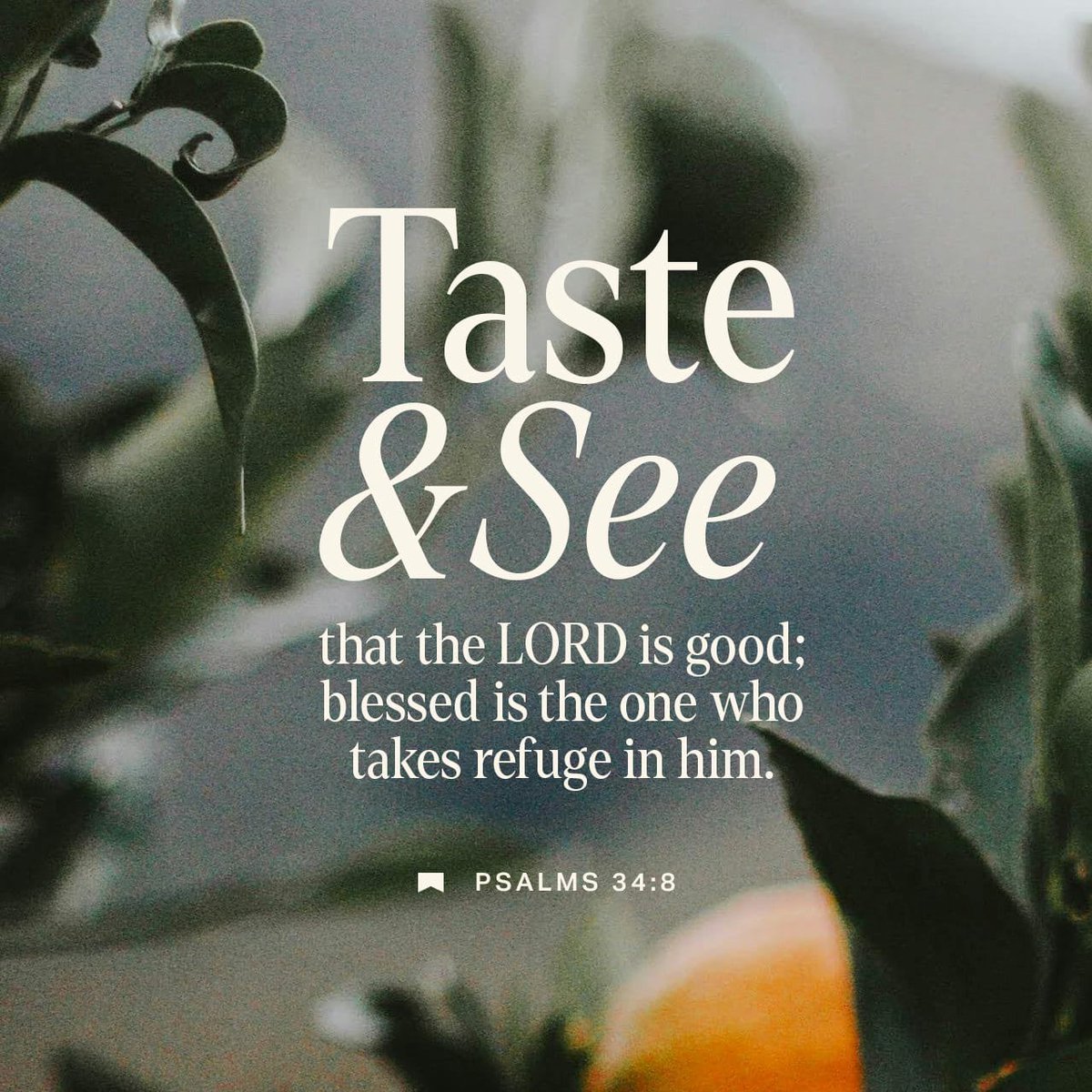 Taste and see that the Lord is good; blessed is the one who takes refuge in him.