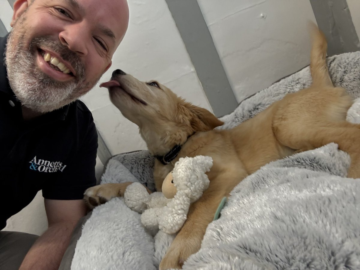 Tom Orchard tweet media