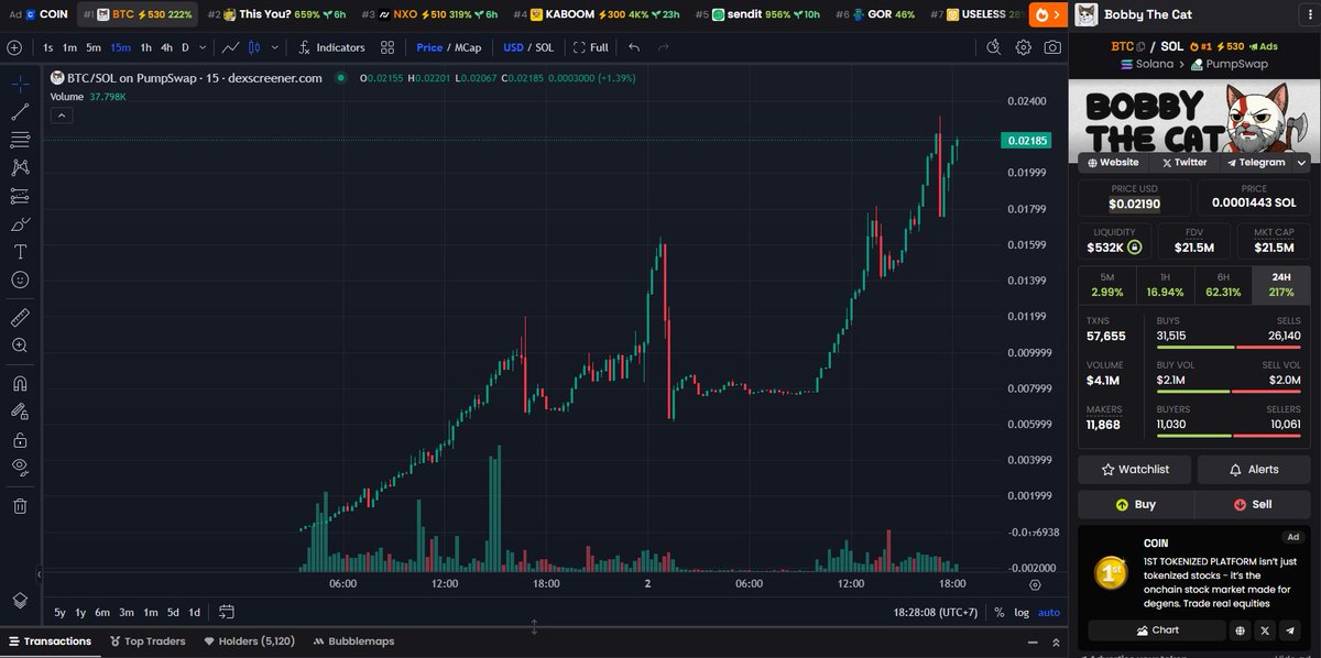 Bobby The Cat tweet media