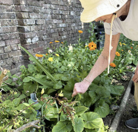 Our wonderful ladies at St Winifreds Care Home have making the most of the gorgeous weather by spending time in the garden! 🌿🌷 

Continue reading the story here: bit.ly/3SY8oBd

#GardeningFun #WellBeing #SunshineAndFlowers #CareHomeLife #NellsarCare