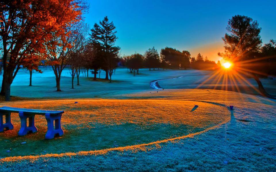 ‿.•*• Good morning 🍀🌷🌿
•°⁀⋱‿💗¸¸.✻*🥀
Be thankful for everything you have today. Bless the steps your life has taken. Put love in everything you do; a blessed new month for all of us