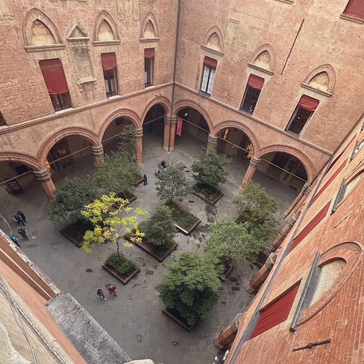 fxwright's tweet image. #arches #angles