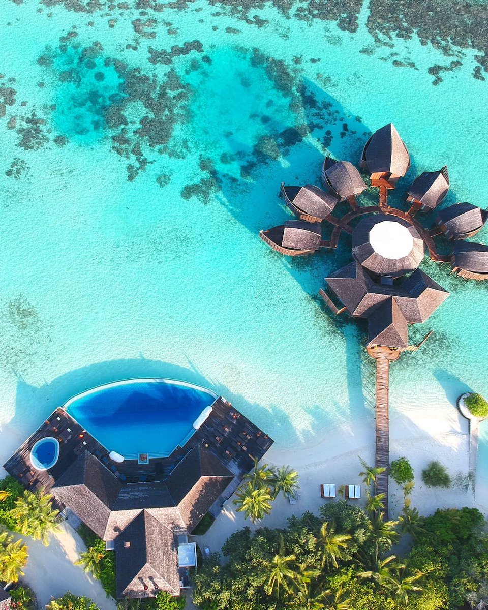 Tranquility above the waves — Tamara Spa at Lily Beach is pure overwater bliss. 🌺🌊 

#LilyBeachMaldives #TamaraSpa #OverwaterSerenity #LilyBeachMaldives #AllInclusiveHoliday #LilyBeachSunsets #MaldivesMagic #GoldenHourInParadise #LilyBeachMoments #MaldivesEscape