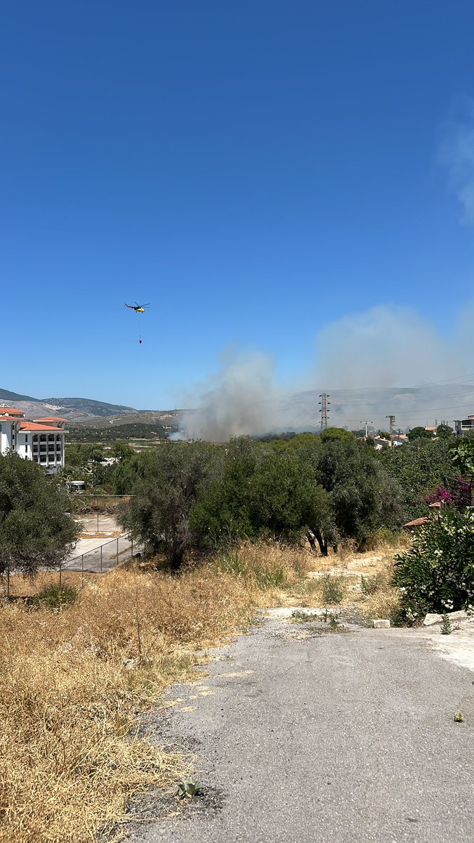 zizisont's tweet photo. YETMEDİ Mİ ARTIK???

Biz daha ne kadar bu @gdzelektrik yüzünden yanıp kül olacağız? Buna daha ne kadar seyirci kalacaksınız? Geçen sene benim evimin bahçesinde durdurduğum yangın şu an yine aynı firma yüzünden burnumun dibine geliyor bu sene 2 gün öncekiyle beraber bu ikinci!!! Şaka mı yapıyorsunuz??? Daha ne kadar göz yumacaksınız??? Sürekli bu korkuyla mı yaşayacağız? Yanıp ölelim mi hepimiz bu lanet firma yüzünden? Berbat hizmet alıp sürekli kazıklandığımız yetmiyor, her daim ölüm tehlikesi yaşıyoruz!!!! 

 @TCEnerji @aBayraktar1 @tedaselectricas  @RTErdogan 

Size de defalarca anlattık bu kadar berbat bir firmanın olduğu yerde bu budama artıklarını toplama görevinizi daha da ihmal etmeyi ne kadar düşünüyorsunuz??? @laldenizlicesme @cesmebld siz ikiniz bizim sonumuz olacaksınız!!!