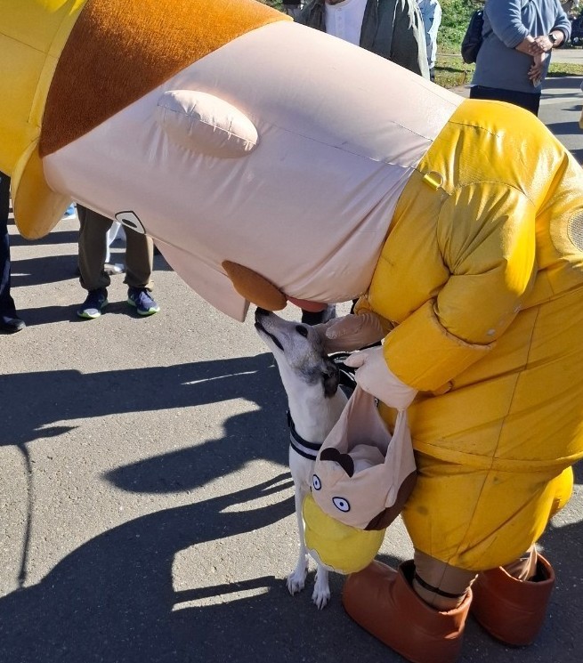 TheodorVonLerch's tweet photo. 犬「兄サン 鼻ノ穴 ナインダネ」 https://t.co/8WOSpKMr8x