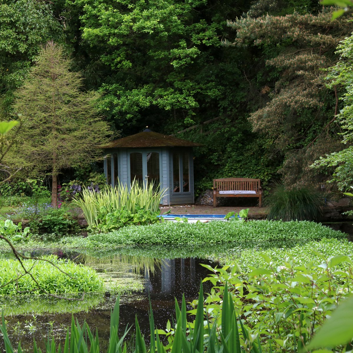 ChesGdnsTrust's tweet image. The first garden visit organised by the CGT Events Team this year was to Stonyford Cottage Gardens near Delamere Forest.
Stonyford is a delightful wildlife friendly woodland garden, with meandering streams, a large pond and mature trees.
#cheshiregardenstrust
#cheshiregardens