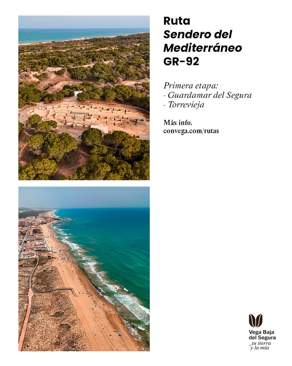 Vega Baja del Segura tweet media