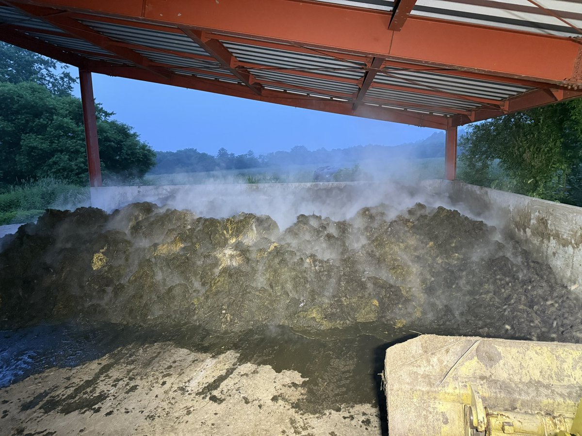 2番乾燥を敷料にして、例の微生物使い始めたら、発酵始まった。　この時期ですらこんな湯気あまり見たことなかったのに。　すげー❣️