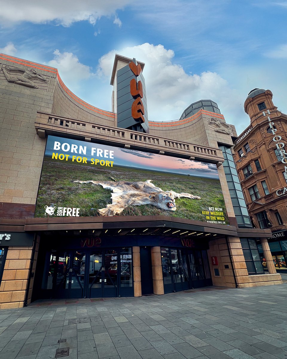 Born Free Foundation tweet media