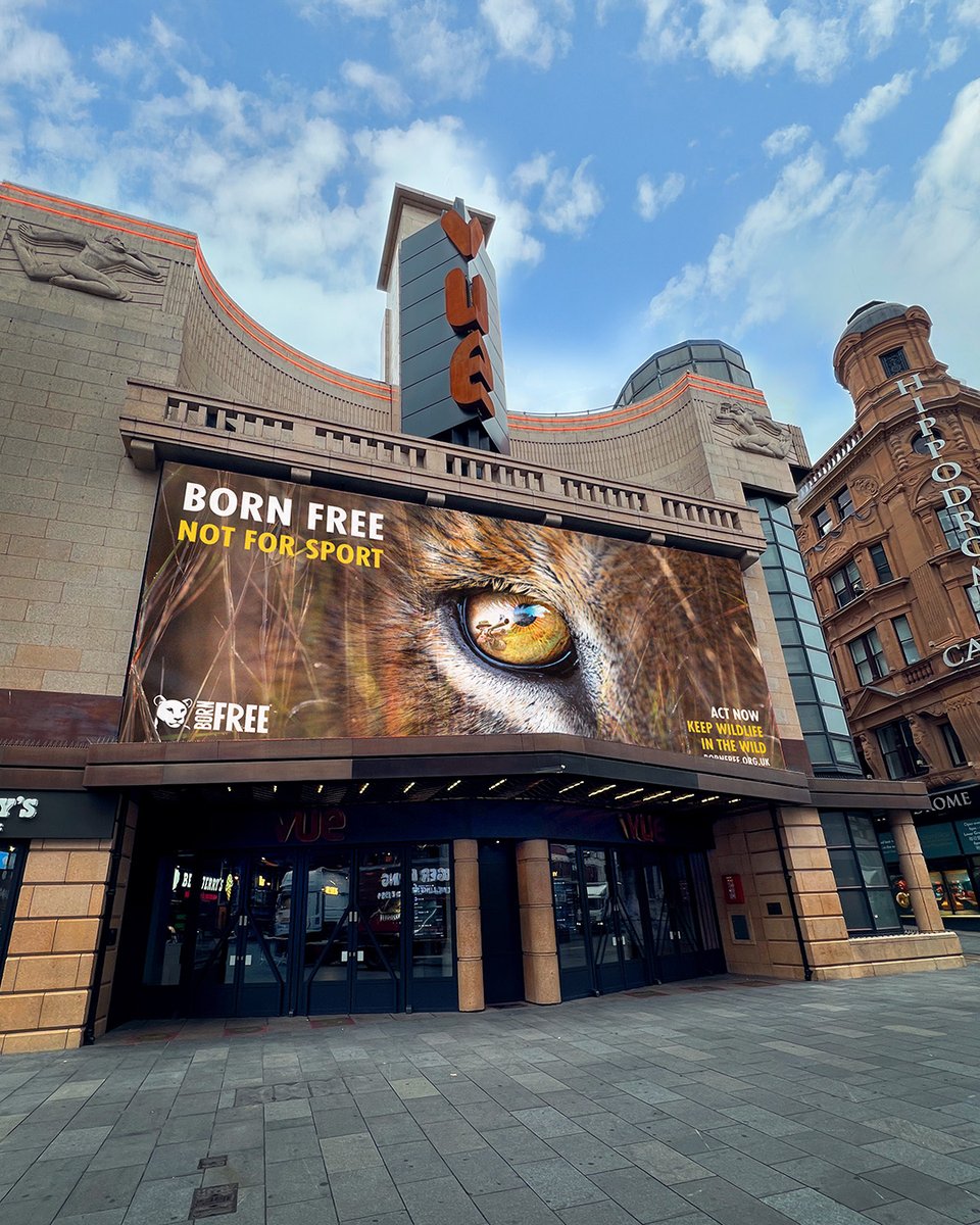 Born Free Foundation tweet media