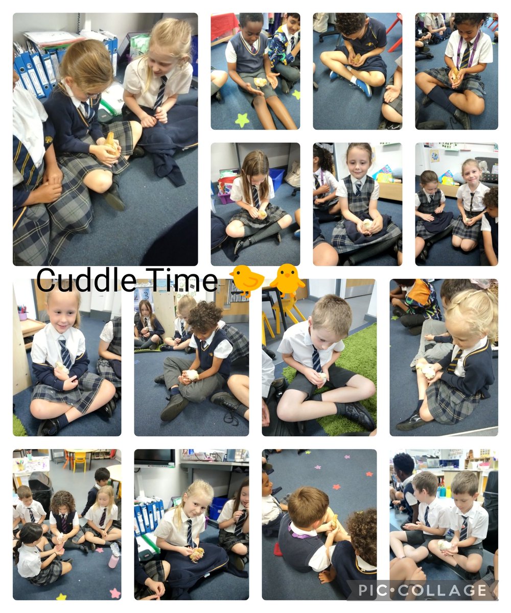 3HBHS had a chicktastic time with our fluffy friends.