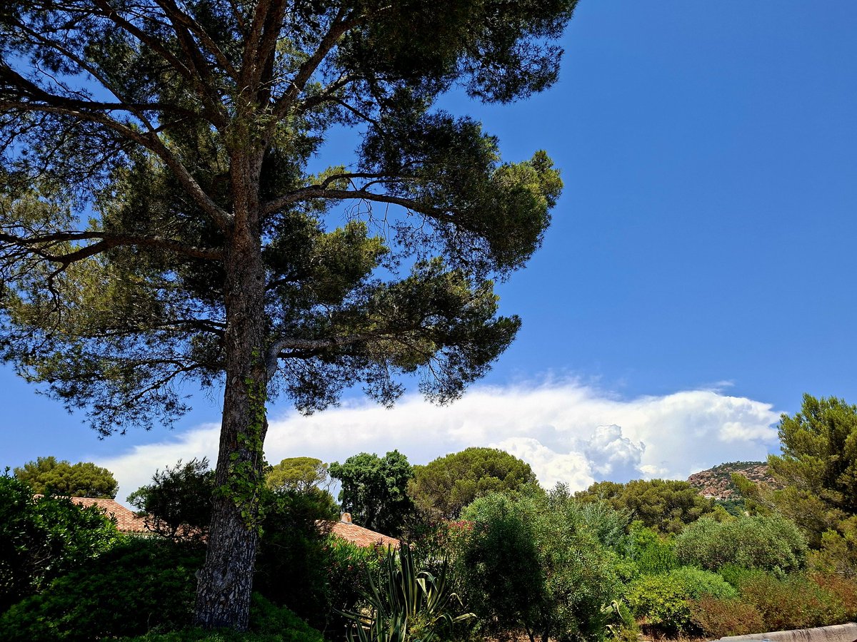 Mächtige Hitzegewitter hinterm Hügel in Sicht.