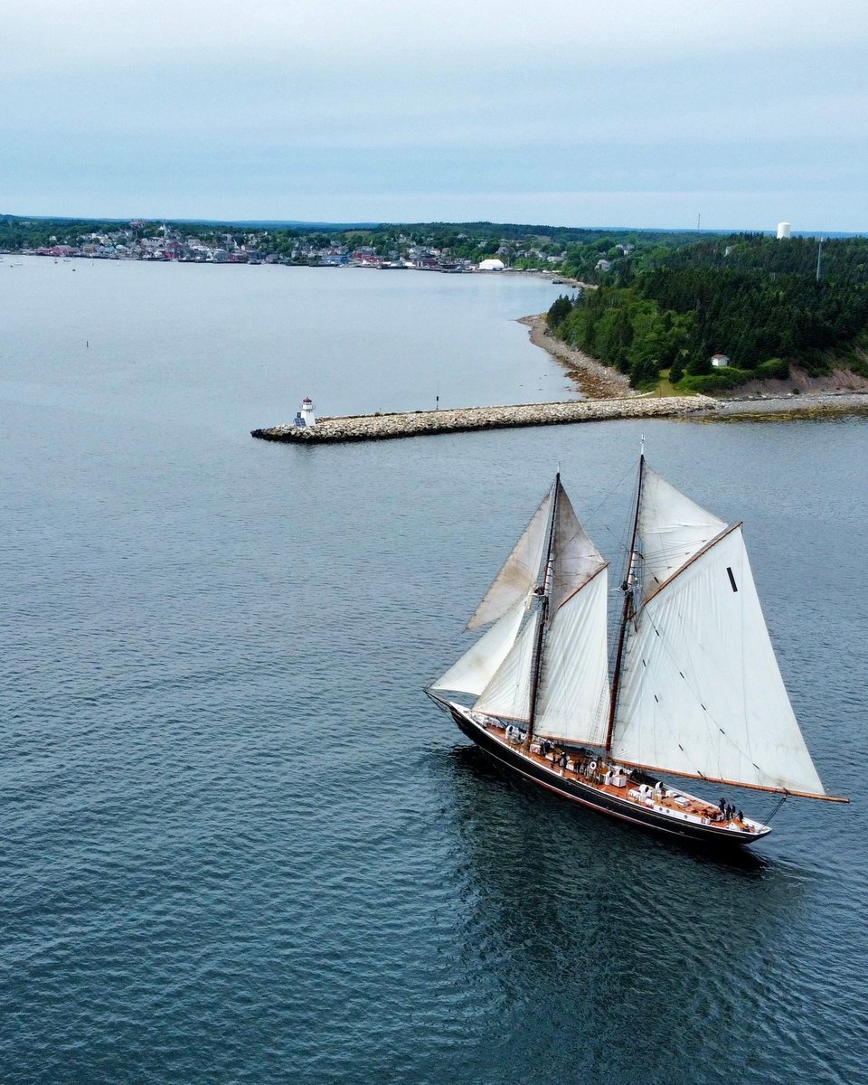 SailBluenoseII's tweet image. Coming into Lunenburg last week with topsails!
What a thrill 💙
