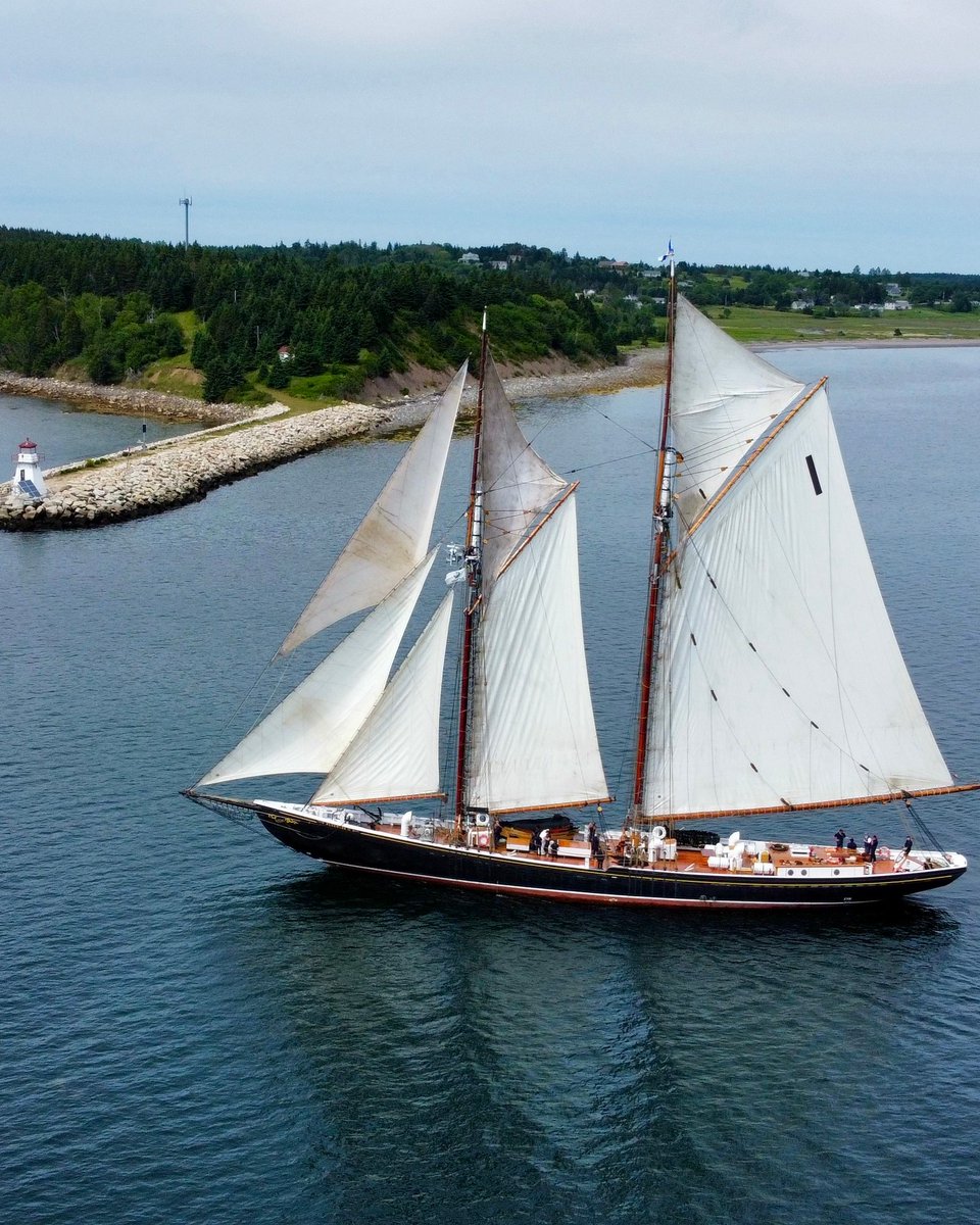 SailBluenoseII's tweet image. Coming into Lunenburg last week with topsails!
What a thrill 💙