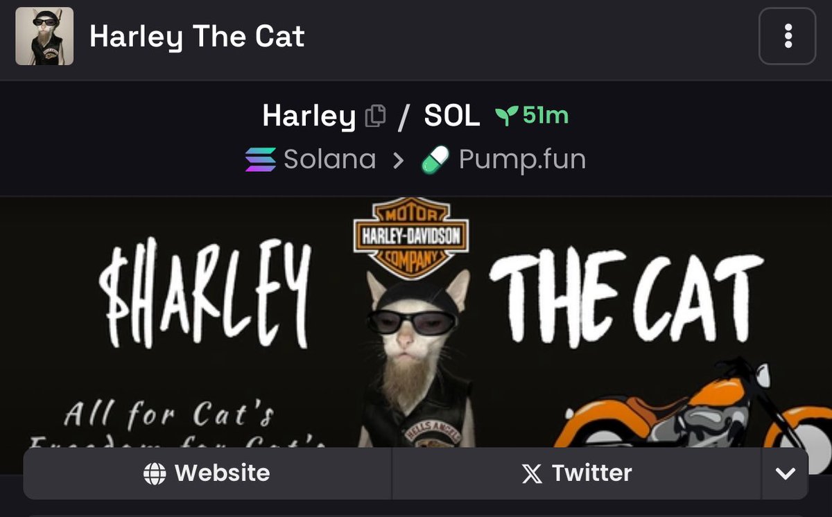 🔺rag🔻 tweet media