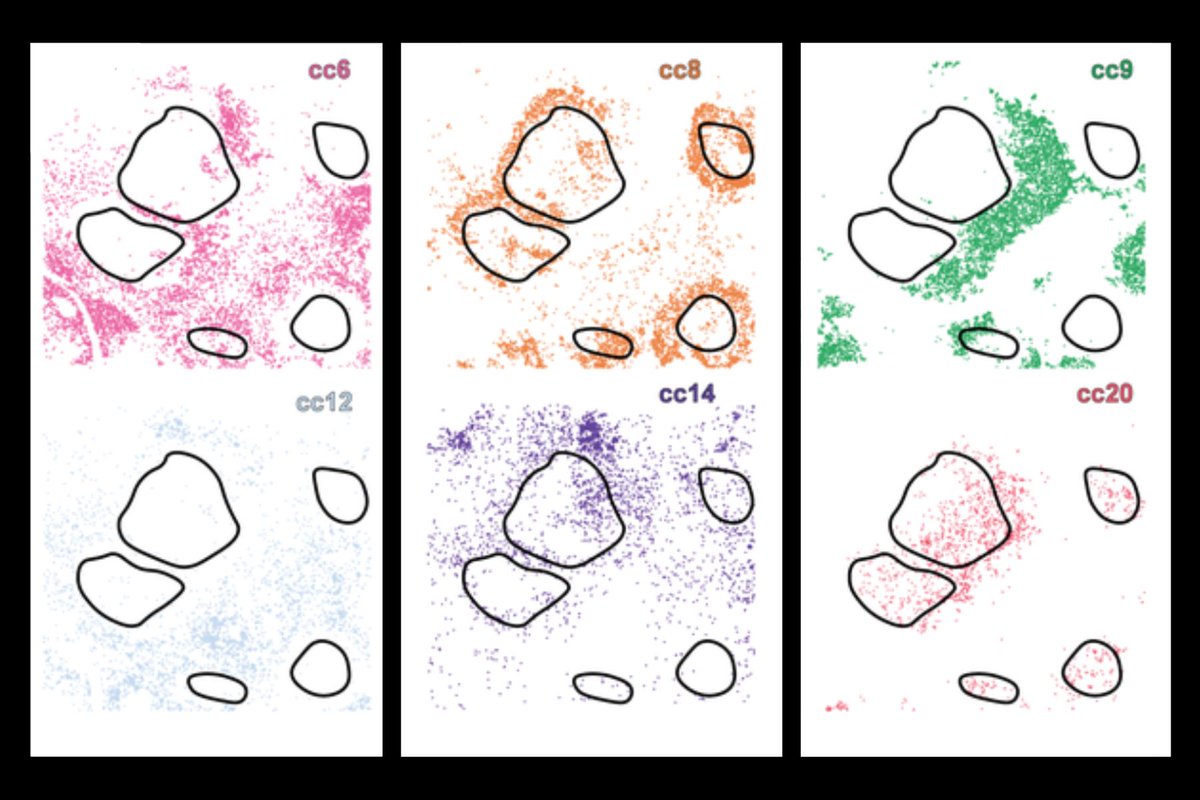 ChemistryMIT's tweet image. New AI system (CellLENS) reveals hidden patterns in cell behavior within tissues and builds a comprehensive digital profile of individual cells, offering deeper insights into cell heterogeneity—vital for advancing cancer immunotherapy.
chemistry.mit.edu/chemistry-news…