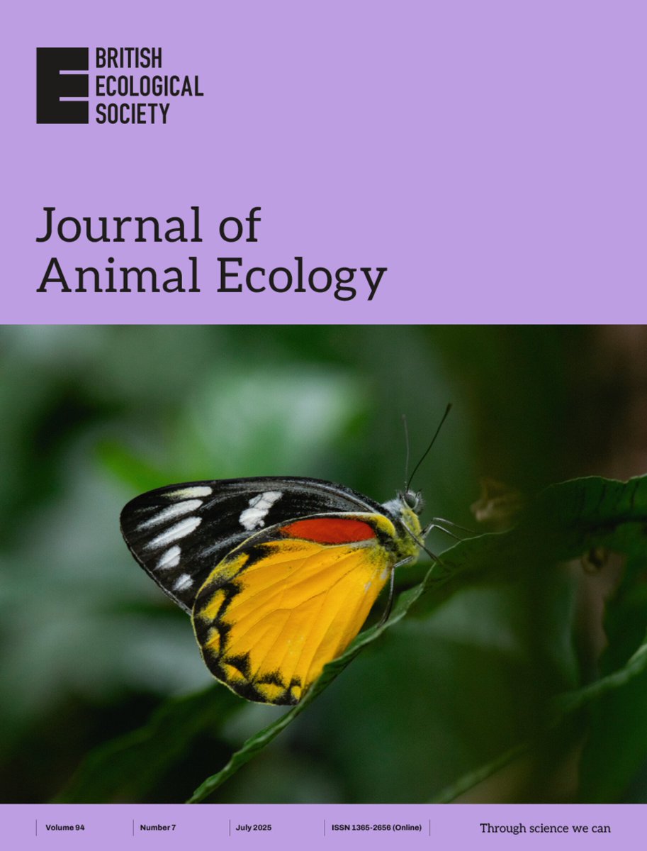 Great that our butterfly paper made to the cover, thanks butterfly!
besjournals.onlinelibrary.wiley.com/doi/10.1111/13…