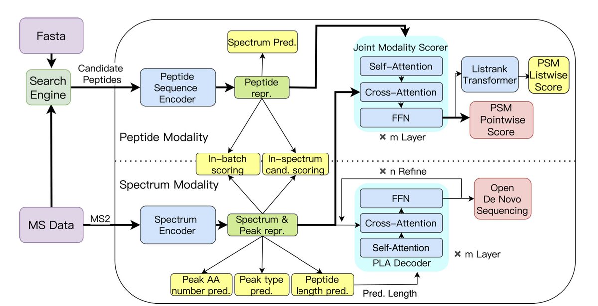 BiologyAIDaily's tweet photo. pUniFind: a unified large pre-trained deep learning model pushing the limit of mass spectra interpretation

１．pUniFind introduces the first large-scale multimodal pre-trained deep learning model in proteomics that unifies end-to-end PSM scoring and open de novo peptide sequencing. It’s trained on 100M+ spectra annotated via open search, enabling broad modification support and zero-shot capability.

２．In immunopeptidomics, pUniFind identifies 42.6% more peptides than traditional engines and achieves a 60% increase in PSMs over existing de novo methods, despite a 300-fold larger search space. It also discovers peptides absent from known proteomes but present in the genome.

３．A novel deep learning–based quality control strategy improves result reliability by filtering low-confidence spectra, recovering 38.5% more peptides with full fragment ion coverage. Among them, 1,891 were found only in the genome-translated database, highlighting pUniFind's discovery power.

４．Unlike most existing models, pUniFind supports over 1,300 peptide modifications and performs open de novo sequencing with no prior knowledge. It outperforms traditional tools like pNovo across 21 PTM datasets, achieving a 63.8% recall vs. pNovo’s 47.6%–39.8%.

５．Cross-modality pretraining tasks—de novo spectrum prediction and peptide reconstruction—improve spectrum-peptide alignment. This enables robust generalization across instruments and species, validated through mixed-species entrapment and metabolically labeled datasets.

６．pUniFind achieves consistent performance improvements across nine species and multiple instruments (QE, timsTOF, Astral), and remains accurate under large-scale or modification-heavy conditions like metaproteomics and immunopeptidomics.

７．In head-to-head comparisons, pUniFind surpasses traditional and modern tools such as Open-pFind, MSFragger+MSBooster, MaxQuant, Casanovo V2, DDA-BERT, and Tesorai, both in identification yield and in controlling false discovery rates.

８．A two-mode open de novo workflow (regular and modification-enriched) allows pUniFind to adapt flexibly to both general and PTM-enriched datasets. It uses pFind as a second-pass scorer to refine predictions for rare modifications.

９．De novo predictions include peptide length estimation and modification token prediction. Modifications are encoded by type, not site, to better leverage similar-mass modifications and enable site-independent pretraining.

１０．On real-world S. cerevisiae data, pUniFind's open de novo sequencing recovers 40.2% more peptides than Casanovo V2. Its top 6 identified modifications match those reported by Open-pFind, confirming modification discovery robustness.

１１．In immunopeptidomics, pUniFind achieves 86.3% peptide recall in de novo mode—significantly higher than Casanovo V2 (69.1%). Structural modeling confirms that novel peptides predicted by pUniFind bind reliably to HLA molecules, with AlphaFold3 ipTM scores above 0.90.

１２．Inference is efficient and scalable: analyzing 24 raw files takes ~10 minutes on 8×4090 GPUs, compared to Open-pFind’s 5-hour open search. This makes pUniFind practical for high-throughput proteomics pipelines.

１３．Future directions include incorporating retention time into scoring, adapting the model for DIA data, and further expanding the pretraining corpus to enhance rare-modification coverage and non-tryptic digestion modeling.

💻Code: https://t.co/nLnvI5A80e
📜Paper: https://t.co/DeHylSsOA1
#proteomics #deeplearning #massspectrometry #peptidesequencing #computationalbiology #HLA #PTM #OpenSearch #DeNovoSequencing