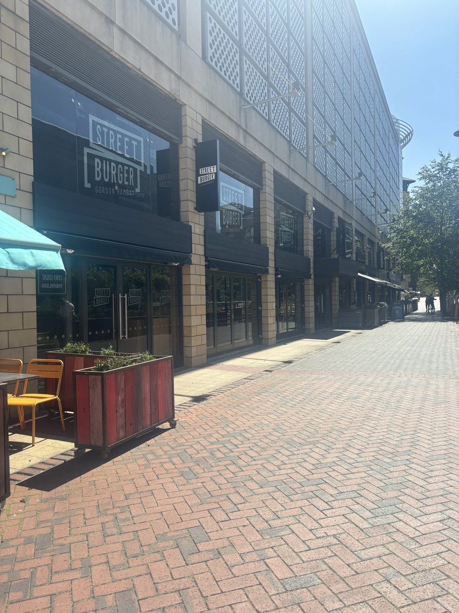 Elliott 🌻🌱 tweet media