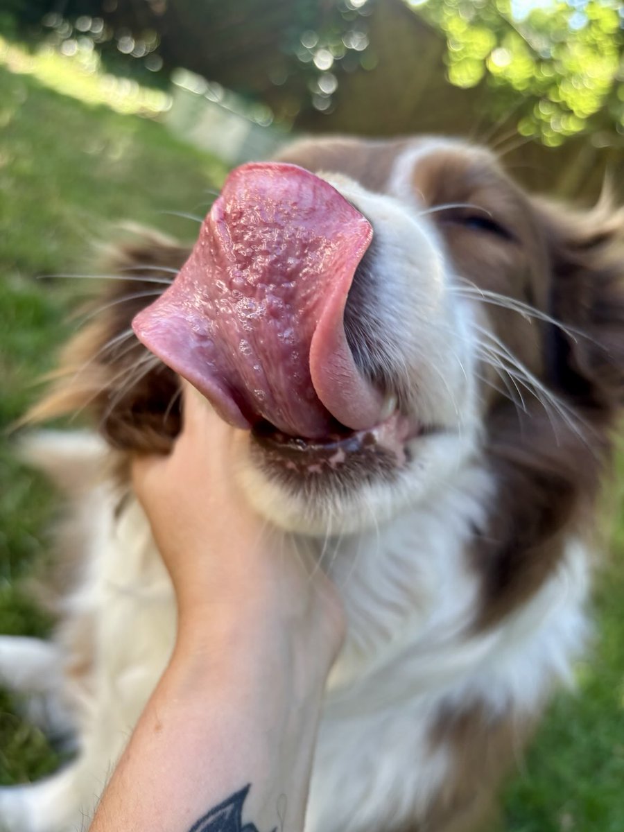 aperolandsoda's tweet image. Musiałam 😂 Amberka ♥️
#gorąco 🥵