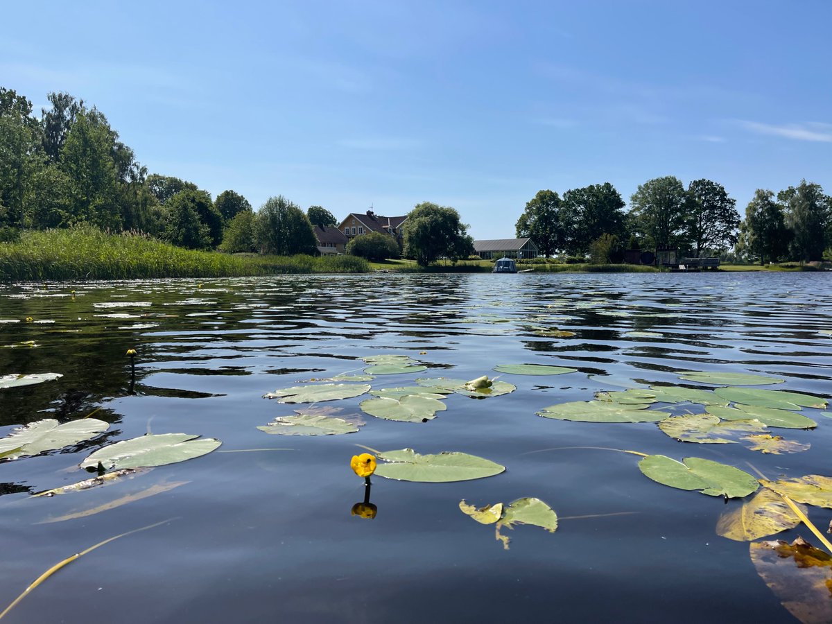 Some Tesla Superchargers are better than others. At this one at Toftaholm in Sweden, you can see a late Viking (10th century) rune stone, eat in a mansion with a 600 year history and enjoy water sports, all while your car is charging. A pre-Viking age sword was found in the lake.