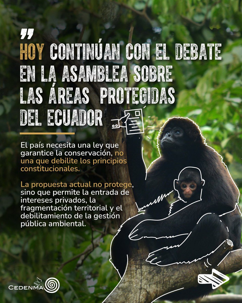 CEDENMA's tweet photo. 📣 El proyecto de ley de áreas protegidas pone en riesgo derechos fundamentales

Viola los derechos de las comunidades y pone en peligro los derechos de la naturaleza.

Las áreas protegidas no son negocios.
Son territorios de vida. https://t.co/wtP1rITh0e