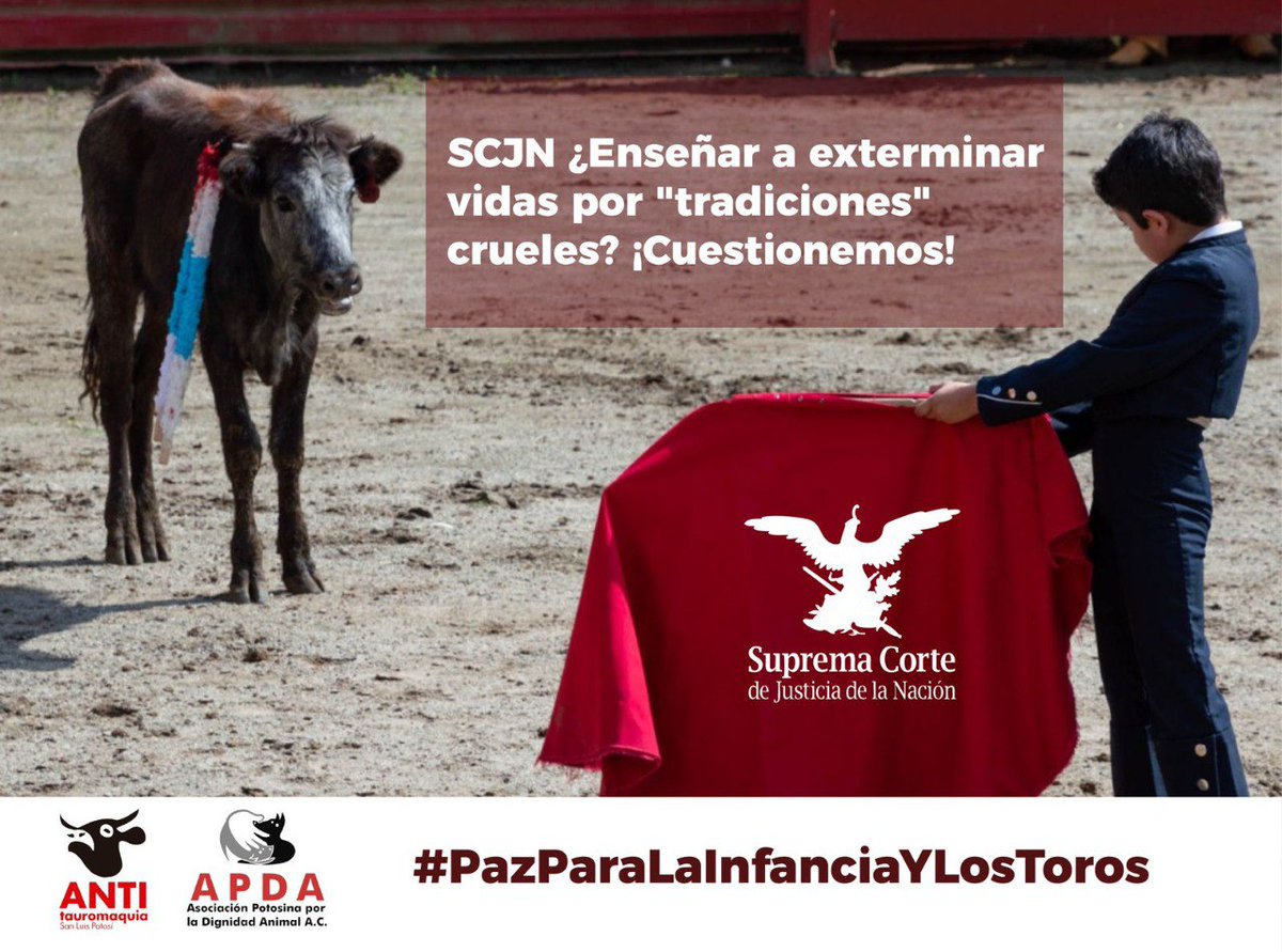 <a href="/SCJN/">Suprema Corte</a> <a href="/LeniaBatres/">Lenia Batres</a> #LaynezPotisek #PérezDayán La tauromaquia, es una forma de violencia institucionalizada con implicaciones pedagógicas, éticas y simbólicas particularmente nocivas. #PazParaLaInfanciaYLosToros #SLP Pedimos su amable #VotoContra proyeco de <a href="/YasminEsquivel_/">Yasmín Esquivel Mossa</a>