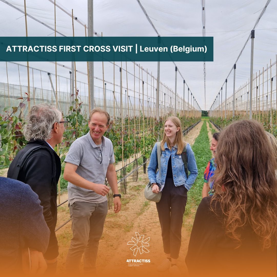 🍐Brilliant day in Leuven!
On 24 June, advisors from across Europe met for our first cross visit, hosted by Boerenbond &amp; powered by Marleen Gysen.
From innovative farming to a self-sufficient brewery, it was all about ideas, tools &amp; top-tier beer.
#FarmToFuture #Attractiss