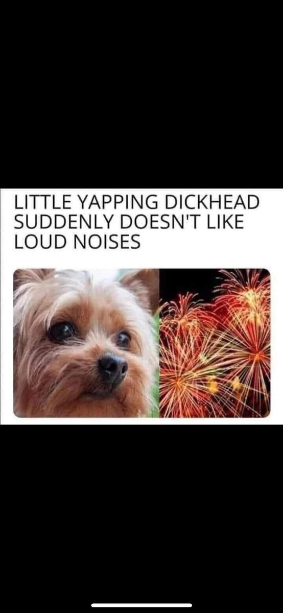 Wildlife🪂🪖 (@rfwild1) on Twitter photo 