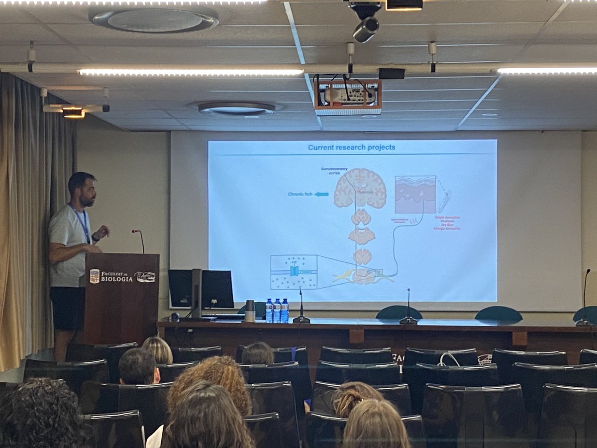 UBneuroscience's tweet image. 🔥 Gerard Callejo presents on the neurobiology of pain, addressing how the nervous system perceives and processes pain, and mechanisms behind chronic pain disorders.