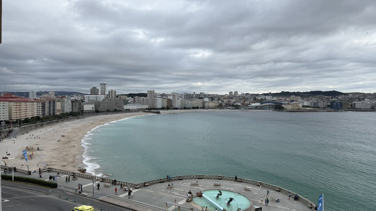 MΛRC VIDΛL tweet media