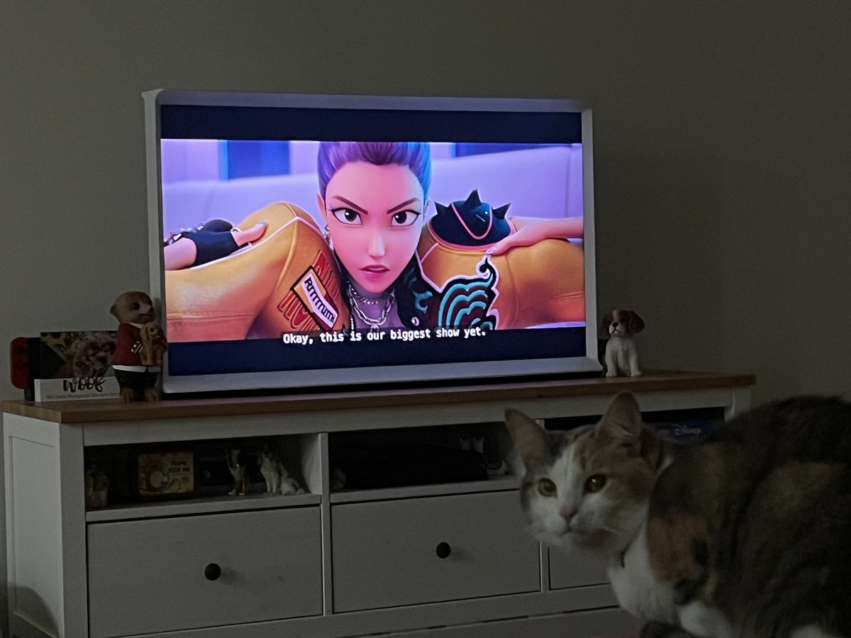 Mello 🦝💙🇦🇺 tweet media