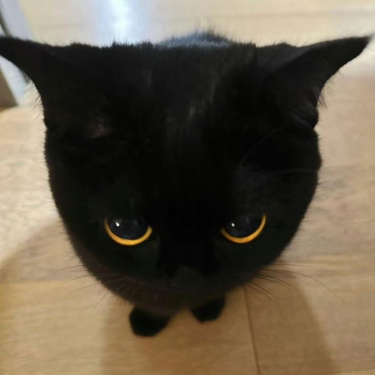 its him