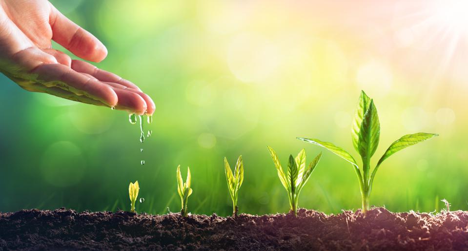 DCachia's tweet photo. More Than Just A Job, We Offer An Opportunity To Grow 🌱💻
🌐 https://t.co/HwydypCN1S 

#ITRecruitment #ITRecruiting #ITCareer #ITJobs #ITStaffing #ITProfessionals #TechRecruiting #PersonalizedRecruiting #MichiganIT #DetroitTechJobs #MichiganTalent #NuTechs https://t.co/Vxcl757lw5