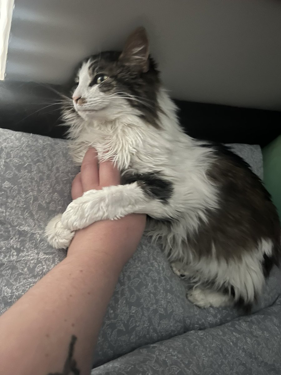 she didn’t want me to leave for work