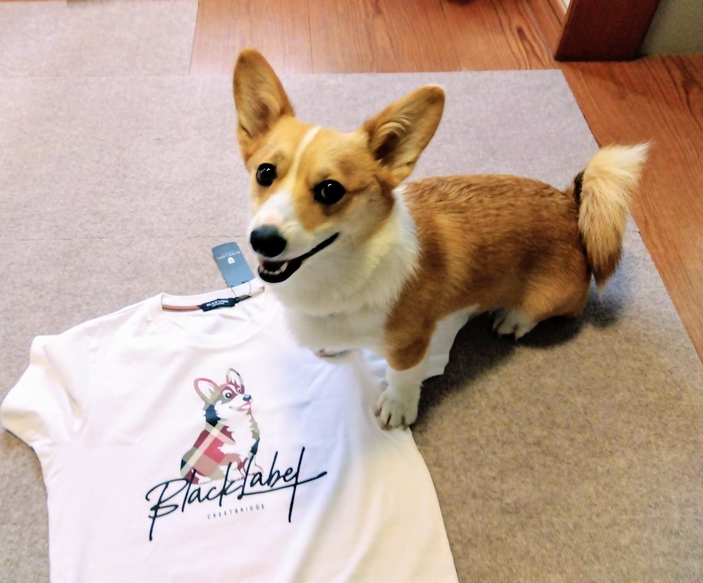 megxg☆ (@megxg) / X