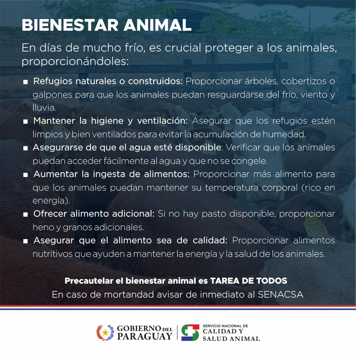 SENACSA (@senacsa) on Twitter photo 