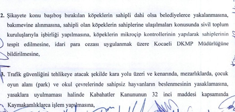 Kocaeli Valiliği kararıyla kara yolu üzeri ve yol kenarlarında, mezarlıklarda, çocuk parklarında ve okul çevrelerinde sahipsiz hayvanların beslenmesi yasaklandı.