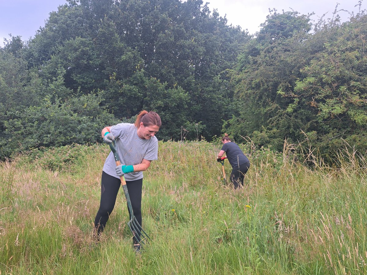 Hinckley and Rugby Building Society (@hinckleyrugbybs) on Twitter photo Last week Society #volunteers joined <a href="/hinckandbos_bc/">Hinckley & Bosworth BC</a> at local greenspace <a href="/BurbageCommon/">Burbage-Common</a> for some heathland management
Volunteer Mel: “It was hard work in the hot sunshine, but there’s strength in numbers & we got the job done. The Common is a great place for visitors & nature"💚 Last week Society #volunteers joined <a href="/hinckandbos_bc/">Hinckley & Bosworth BC</a> at local greenspace <a href="/BurbageCommon/">Burbage-Common</a> for some heathland management
Volunteer Mel: “It was hard work in the hot sunshine, but there’s strength in numbers & we got the job done. The Common is a great place for visitors & nature"💚