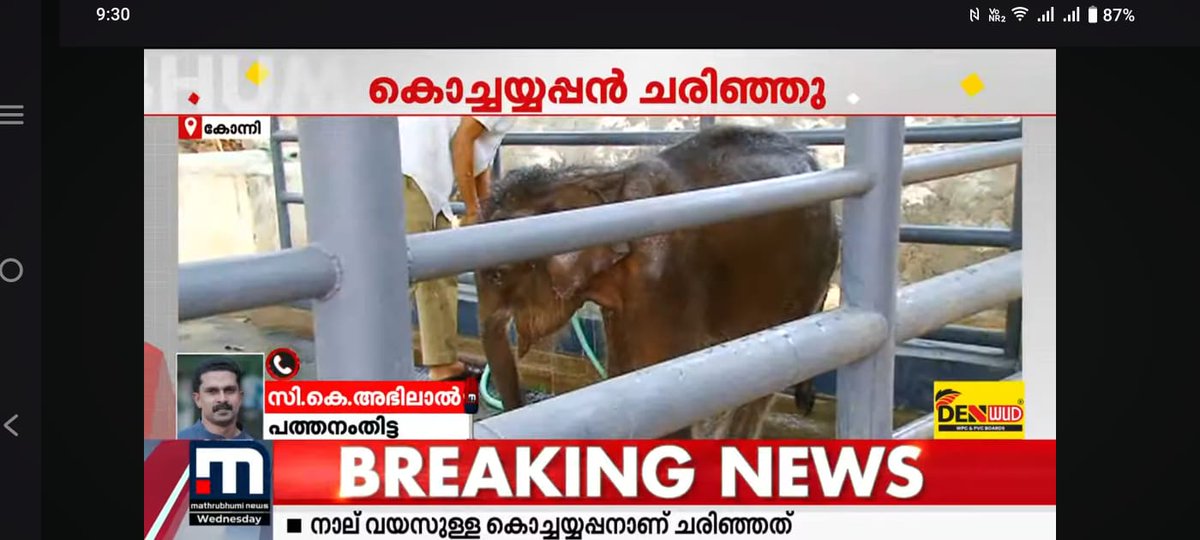 Devils of Kerala killed another innocent soul in Konni elephant camp. #Konni_Kochayappan passed away. They says he simply just gone, but truth is ignorance , negligence, carelessness,  laziness of mahouts n uneducated vets.  <a href="/byadavbjp/">Bhupender Yadav</a> <a href="/moefcc/">MoEF&CC</a> <a href="/Arthi_SV/">Aarthi Sakthivel</a>