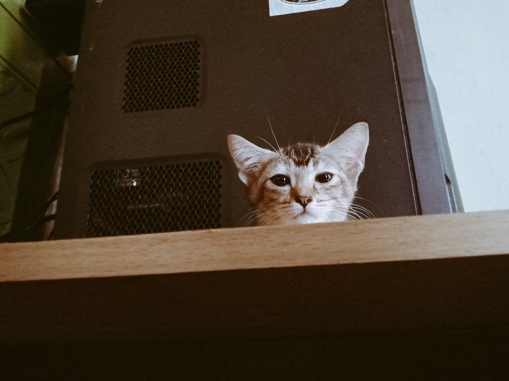 samr3no's tweet image. You can’t Photoshop a blockchain.
Tough luck.
@recallnet
#ProofNotPromises #AI #OnchainProof @cookiedotfun