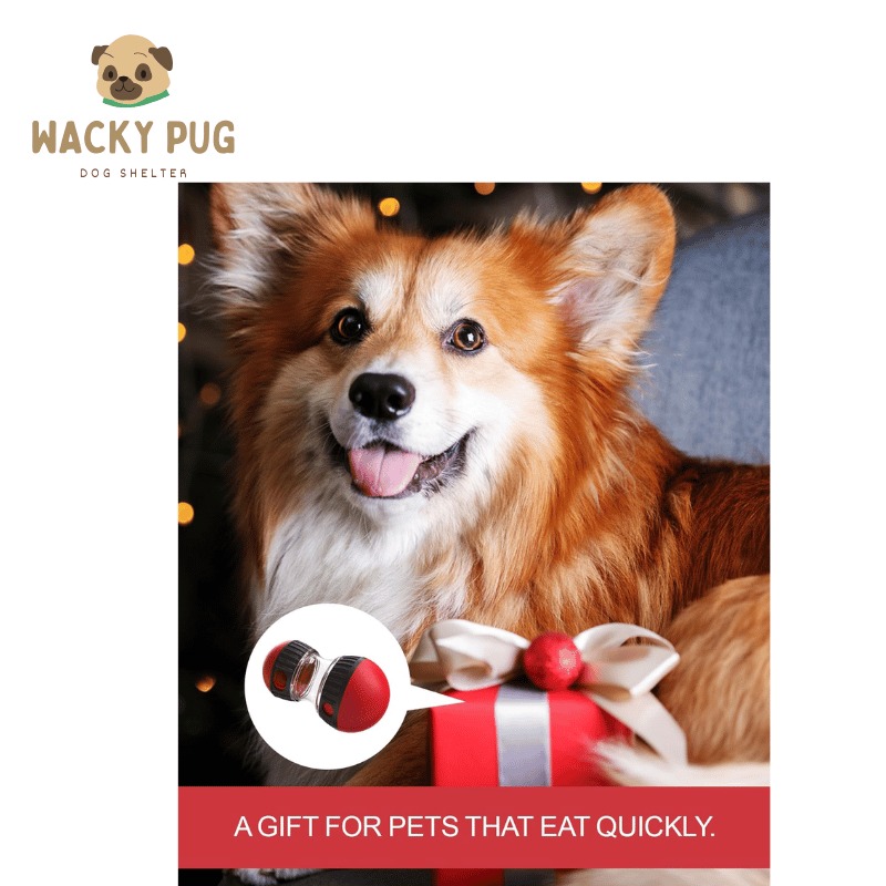 WackyPug_in's tweet image. 🐶WackyPug Treat Puzzle Toy!🧠🍖
 it slows down mealtime,fights boredom &amp;amp; boosts brainpower!💪🐾

✅ Adjustable treat holes
✅ Durable &amp;amp; chew-friendly
✅ Supports treats up to 15x23mm

🔗wackypug.in/product/wackyp…

#WackyPug #DogPuzzleToy #LargeDogToys #SmartDogsIndia #PetCareIndia