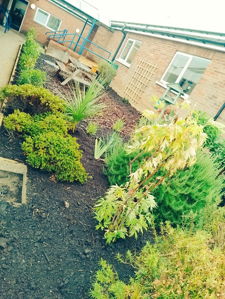 Cromer Academy tweet media