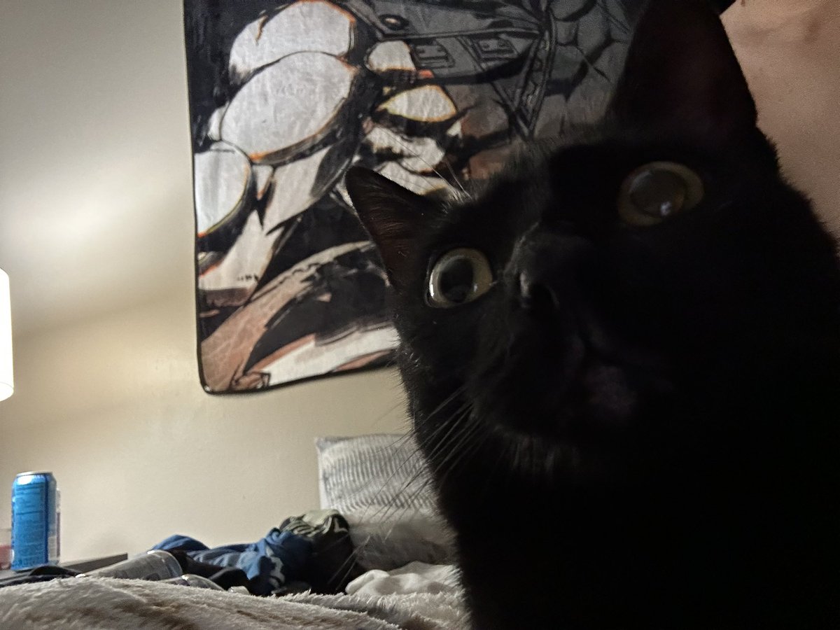 PierceRul34 (@piercerul34) on Twitter photo 