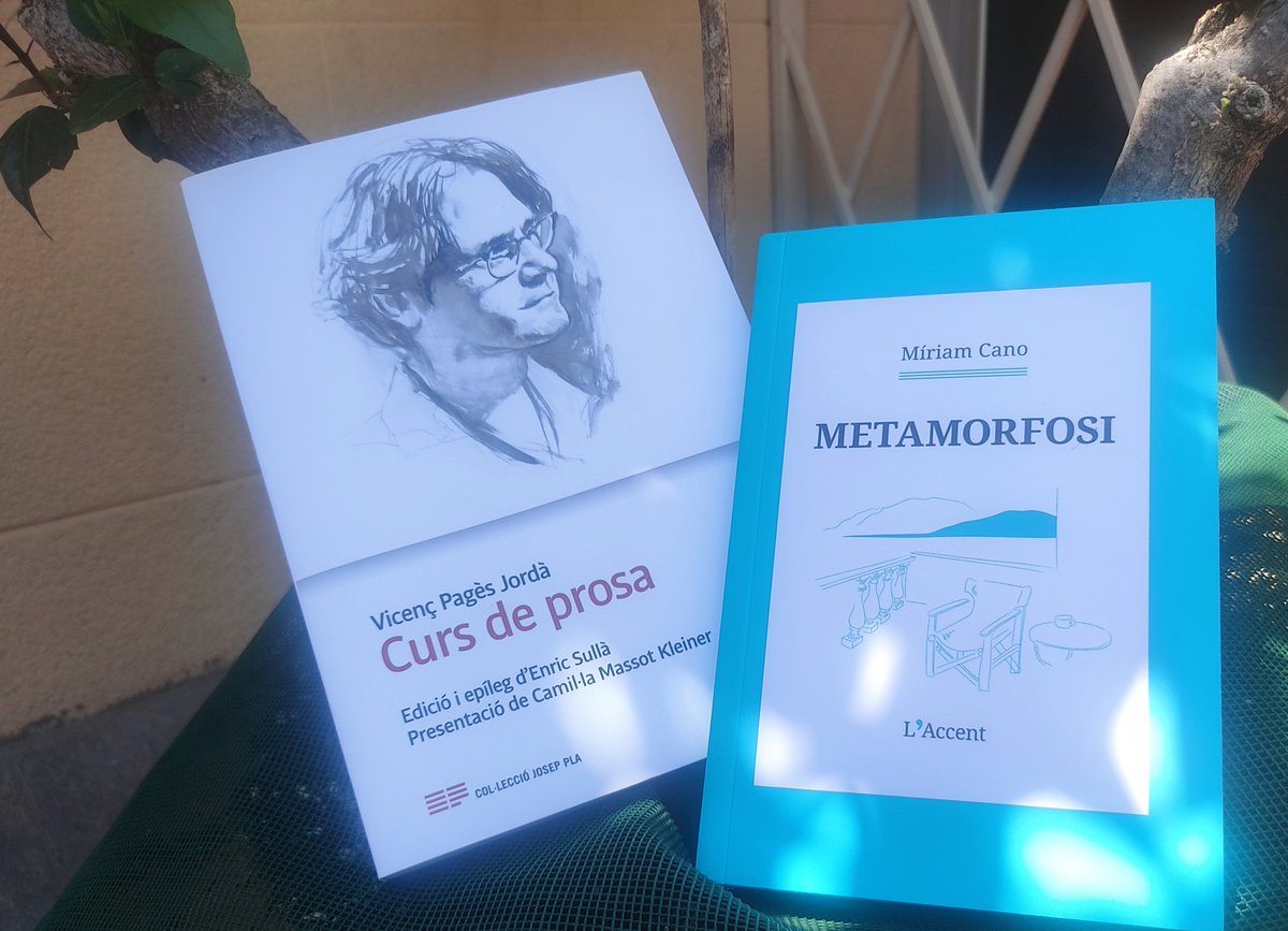 Prosa 2025: Teoria i Pràctica.