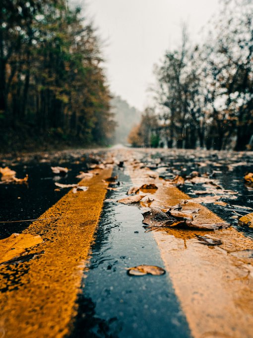 Photography by Gabe Hobbs