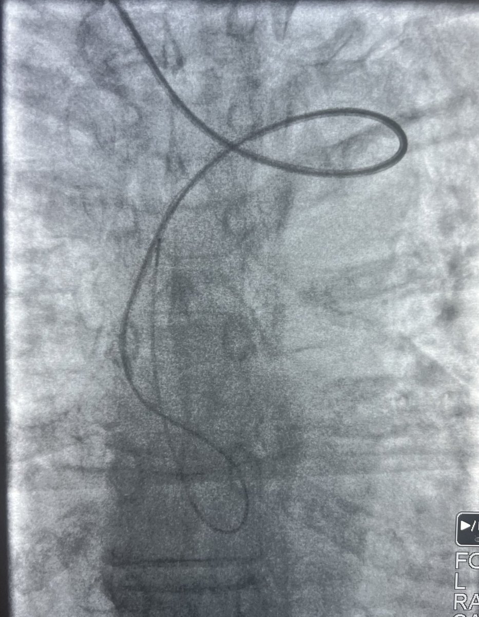 Rich_cathRT(CI)☢️ tweet media